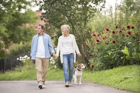 older coupling walking together in the park