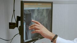 Dr. Kang